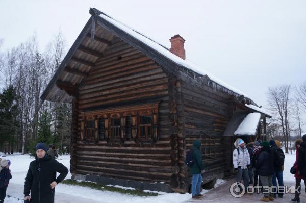 Музей Витославлицы (Россия, Новгородская область) фото