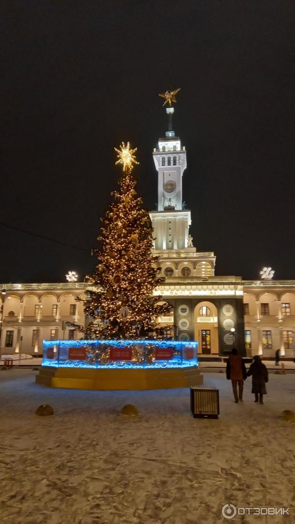 Парк Северного речного вокзала (Россия, Москва) фото