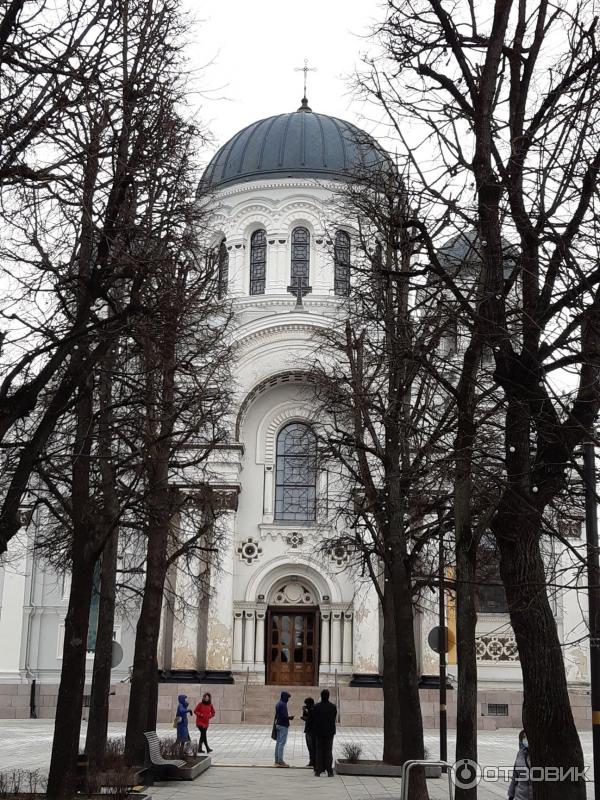 Аллея Лайсвес (Литва, Каунас) фото