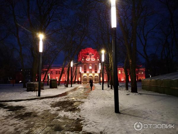 Аллея Лайсвес (Литва, Каунас) фото