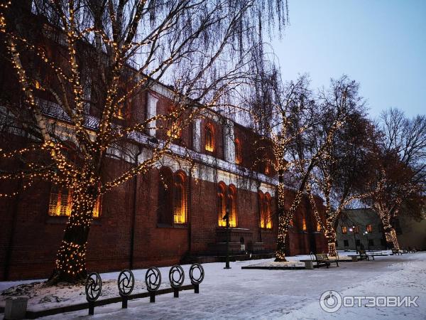 Аллея Лайсвес (Литва, Каунас) фото