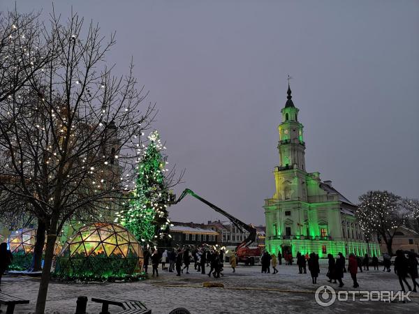 Аллея Лайсвес (Литва, Каунас) фото