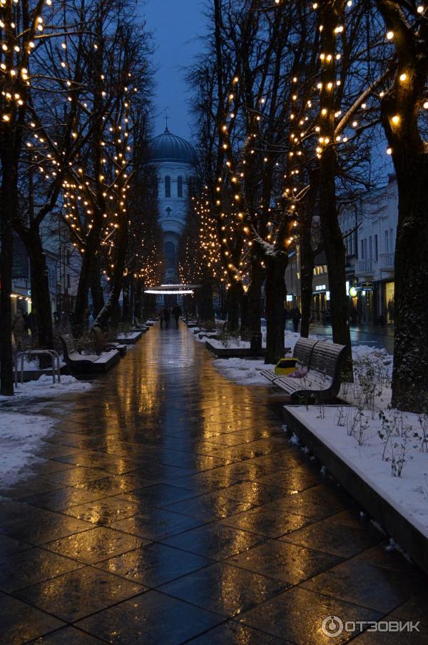 Аллея Лайсвес (Литва, Каунас) фото