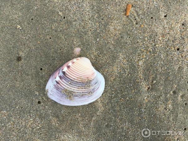 Экскурсия В поисках приключений от Пегас Туристик (Венесуэла, о. Маргарита) фото