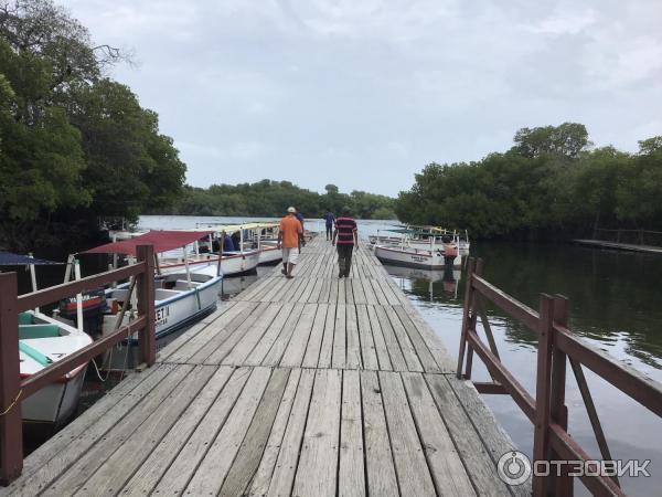 Экскурсия В поисках приключений от Пегас Туристик (Венесуэла, о. Маргарита) фото