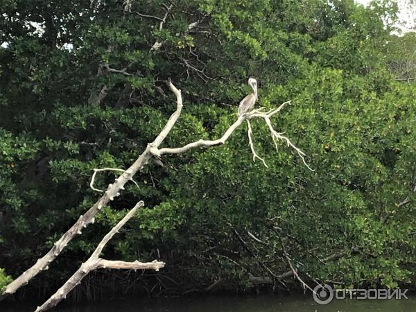 Экскурсия В поисках приключений от Пегас Туристик (Венесуэла, о. Маргарита) фото