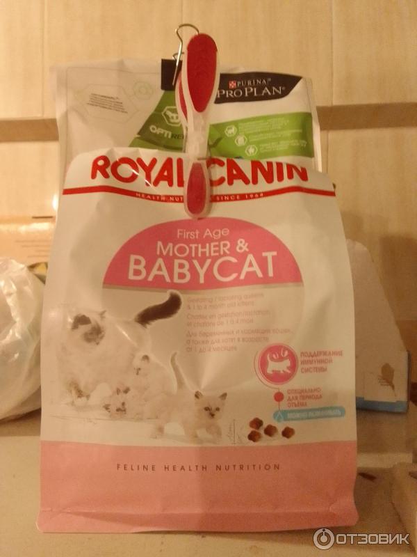 Сухой корм для котят до 4х месяцев Royal Canin Mother and Babycat фото