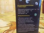 Набор для выращивания живых рачков Intellectico "Питомец юрского периода" фото