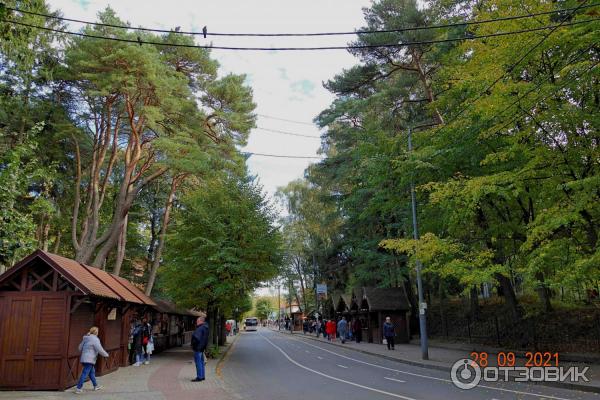 Достопримечательности Светлогорска, Калининградская область.