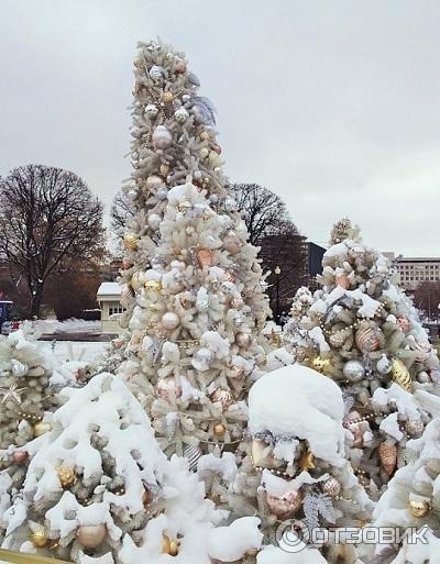 Фестиваль Снег и лед в Парке Горького (Россия, Москва) фото