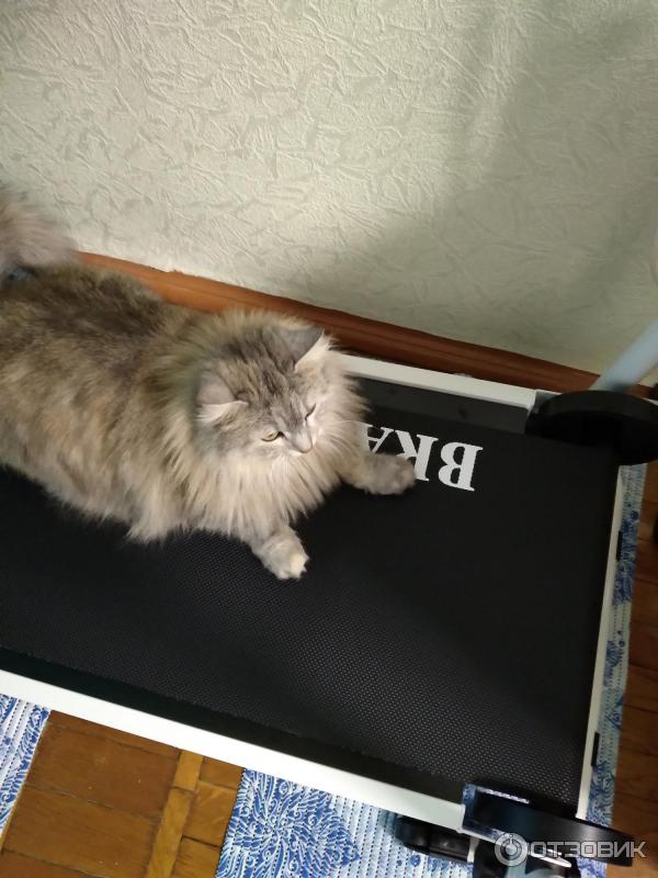 Механическая беговая дорожка Bradex SF 0058 Эклипс фото