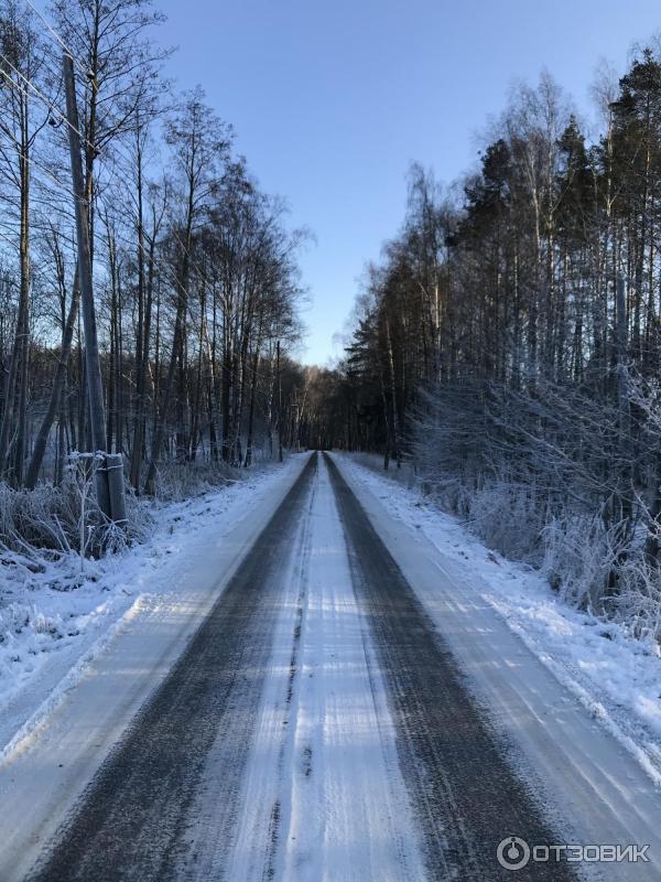 Лосиная биостанция (Россия, Мытищи) фото