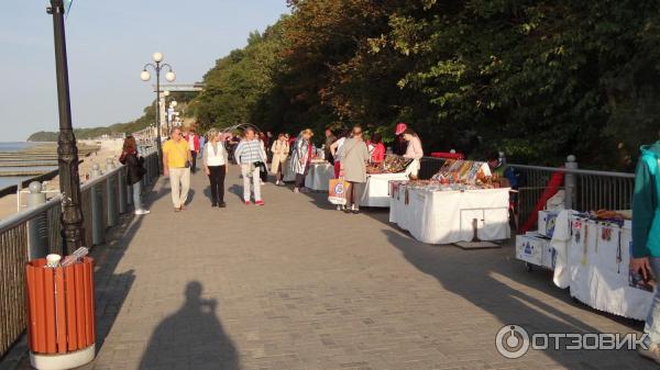 Достопримечательности Светлогорска (Россия, Калининградская область) фото