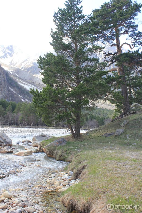 Долина Адыр-Су, подножие горы Уллу-Тау (Россия, Северный Кавказ) фото