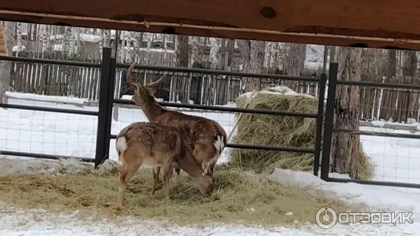 Развлекательный комплекс В некотором царстве (Россия, Рязань) фото