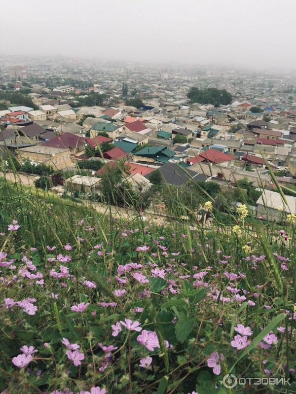 Кафе кавказской кухни Чайный дворик (Россия, Дербент) фото