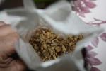 Лекарственные травы ФармаЦвет "Девясила корневища и корни" фото