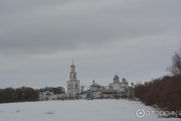 Музей деревянного зодчества Витославлицы (Россия, Великий Новгород) фото