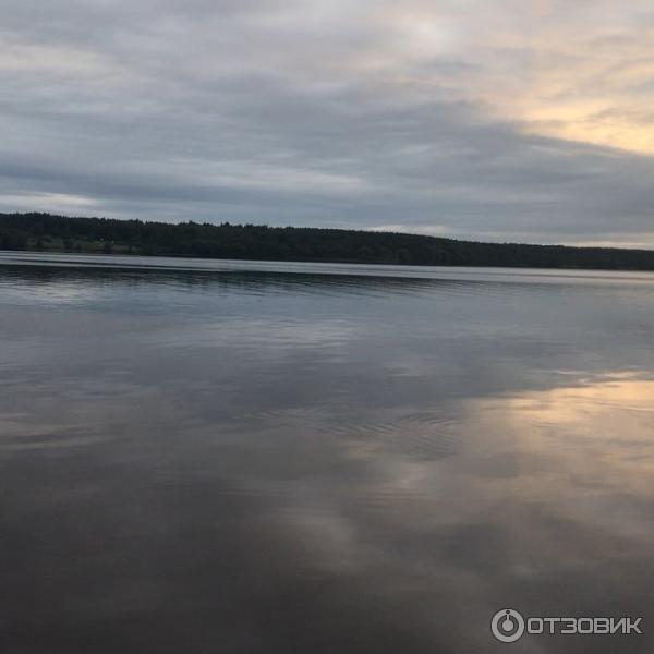 Кемпинг Олений бор в д. Мицеево (Россия, Тверская область) фото