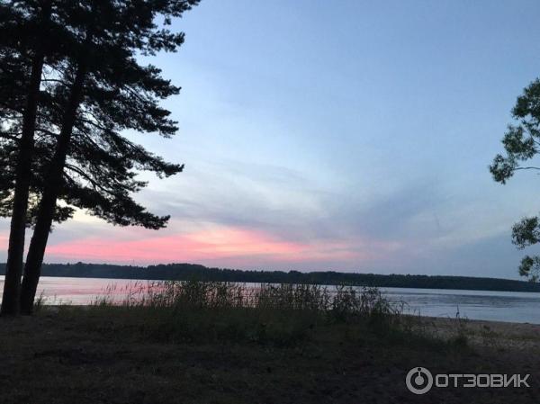 Кемпинг Олений бор в д. Мицеево (Россия, Тверская область) фото