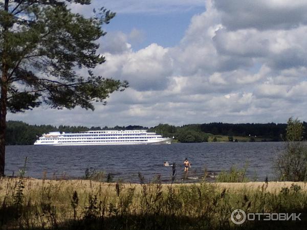 Кемпинг Олений бор в д. Мицеево (Россия, Тверская область) фото