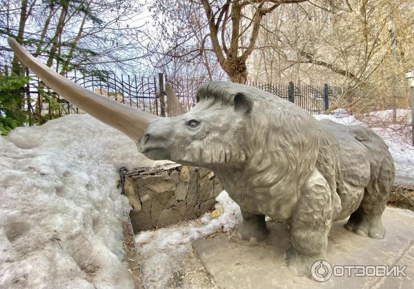 Палеопарк Дарвиновский музей, Москва