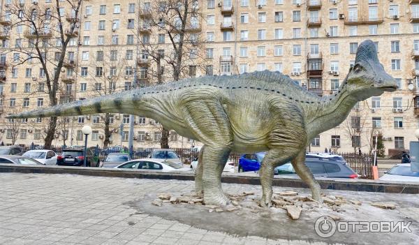 Палеопарк Дарвиновский музей, Москва