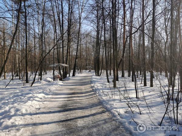 Отель Бородино (Россия, Москва) фото