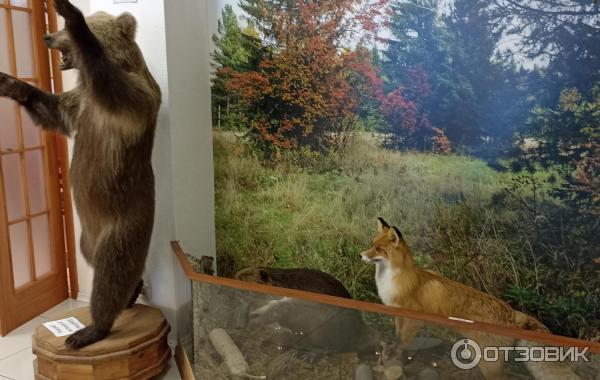 Музей Демидов-Центр