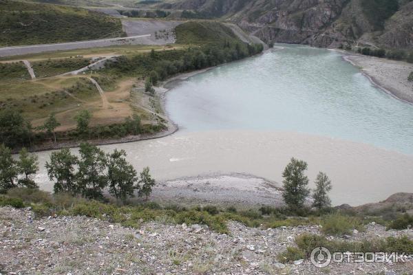 Место слияния Катуни и Чуи (Россия, Алтайский край) фото