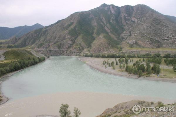 Место слияния Катуни и Чуи (Россия, Алтайский край) фото