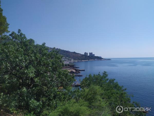 Воронцовский Парк (Крым, Алупка) фото