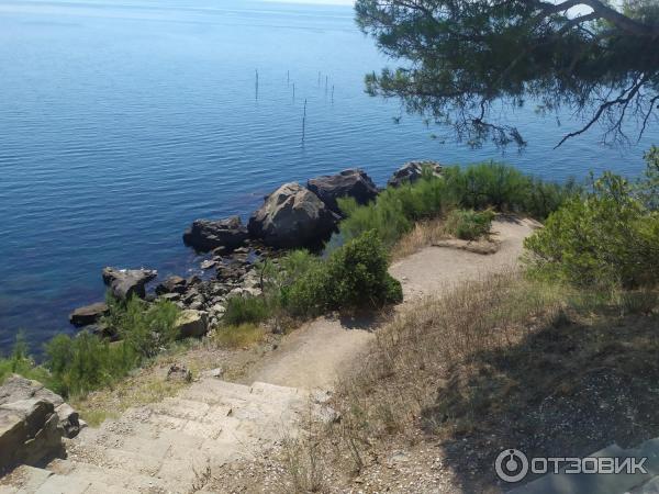 Воронцовский Парк (Крым, Алупка) фото