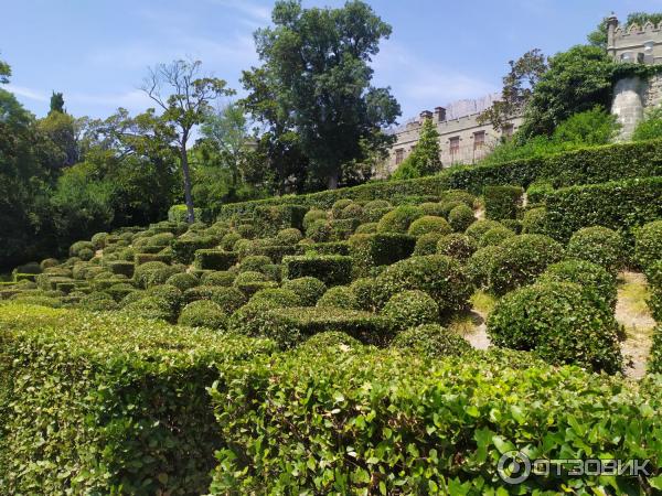 Воронцовский Парк (Крым, Алупка) фото