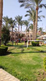 Отель Tamra Baech Resort 4* (Египет, Шарм-эль-Шейх) фото