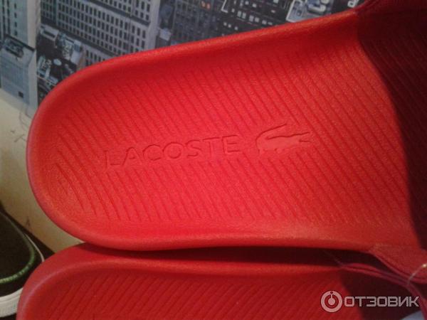 Шлепанцы мужские Lacoste фото