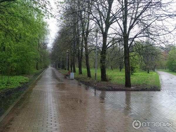 Музейно-парковый комплекс Северное Тушино (Россия, Москва) фото