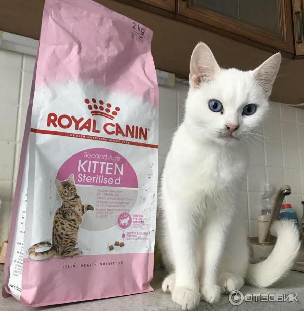 Корм для стерилизованных котят Royal Canin Kitten Sterilised - отзыв