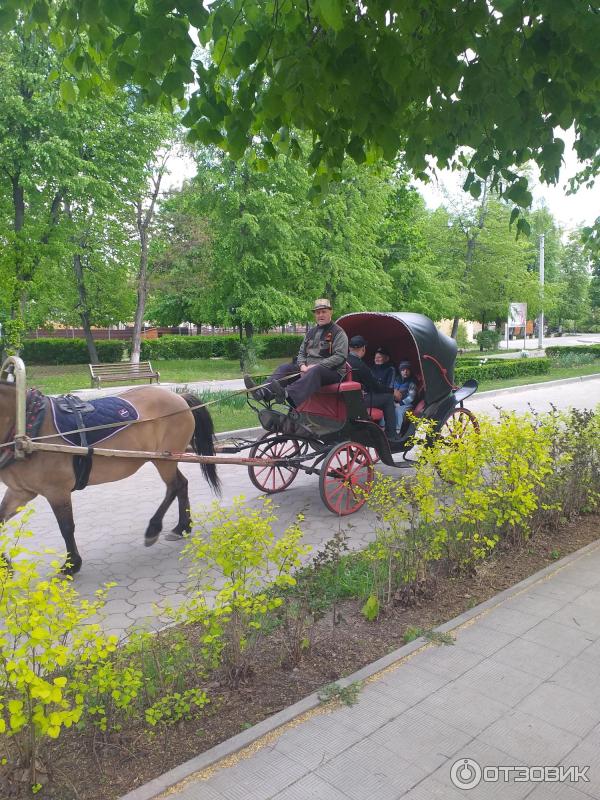 Зоопарк г. Воронежа (Россия, Воронеж) фото