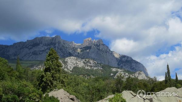 Воронцовский Парк (Крым, Алупка) фото