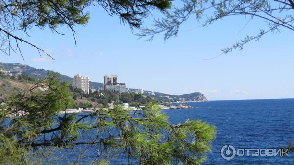 Воронцовский Парк (Крым, Алупка) фото