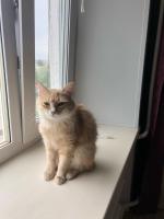 Компания "Стеклодом" (Россия, Екатеринбург) фото