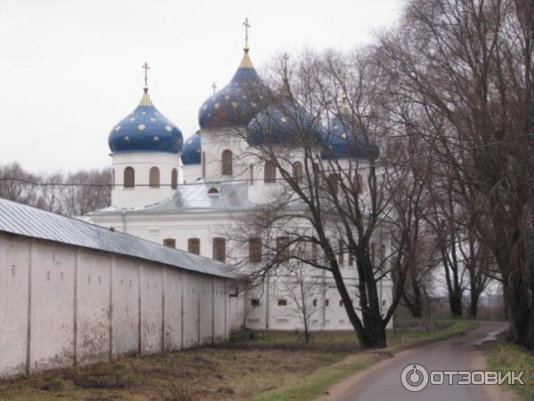 Музей деревянного зодчества Витославлицы (Россия, Великий Новгород) фото