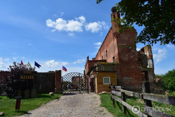 Замок Шаакен (Россия, Калининградская область) фото