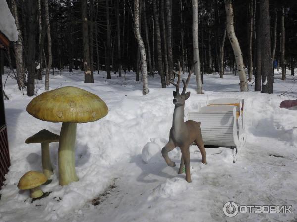 Сахалинский зооботанический парк (Россия, Южно-Сахалинск)