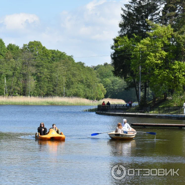 Достопримечательности Светлогорска (Россия, Калининградская область) фото