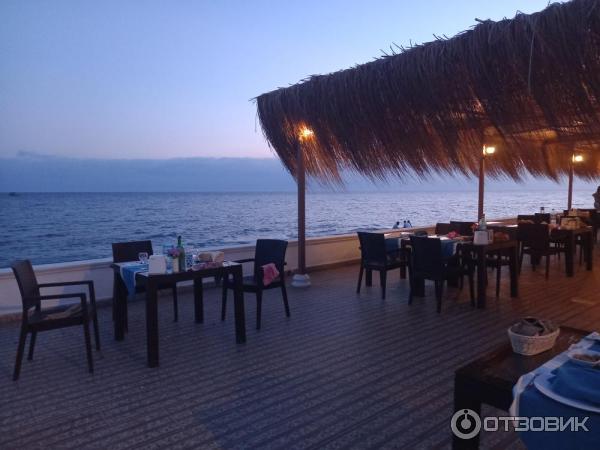 Отель The Garden Beach Hotel 5* (Турция, Аланья) фото