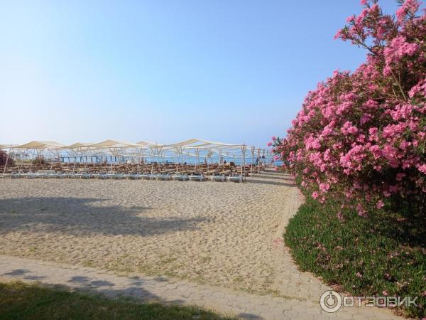 Отель The Garden Beach Hotel 5* (Турция, Аланья) фото