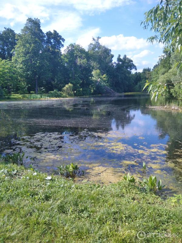 Музей-усадьба В. И. Вернадского (Россия, Тамбовская область) фото