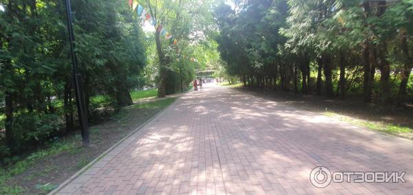 Дорожки основные